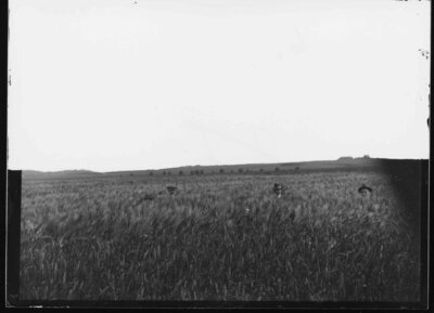 Archived Images\Photo images\Phd\7001P-7500P\7314P.jpg; 7314P; ;